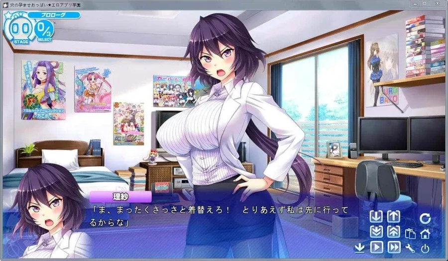 炎孕系列 炎孕系列绅士游戏双端版本 封面图